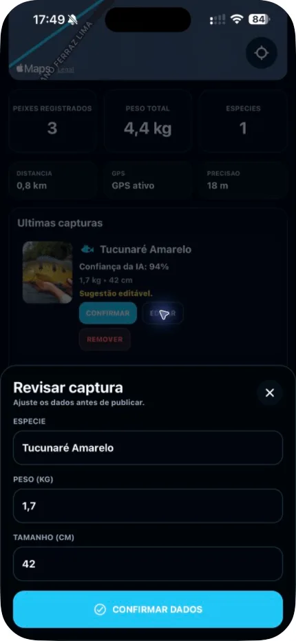 Revisão real dos dados sugeridos para uma captura no IAPI